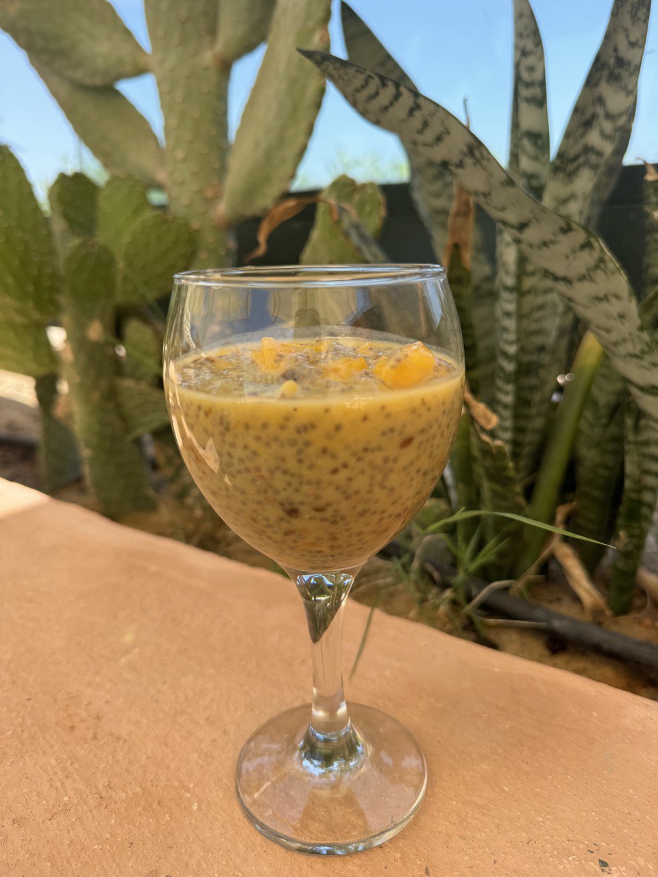 Coconut Chia Pudding